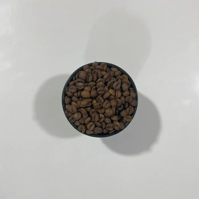 خرید قهوه اوگاندا روبوستا بصورت دانه