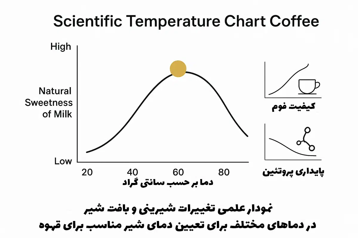 نمودار علمی تغییرات شیرینی و بافت شیر در دماهای مختلف برای تعیین دمای شیر مناسب برای قهوه
