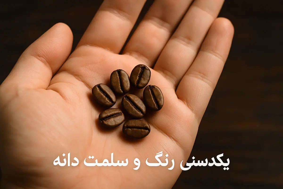 درجه رست و یکدستی رنگ قهوه روبوستا