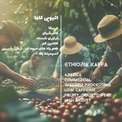 دیتا قهوه عربیکا اتیوپی کافا تک خواستگاه