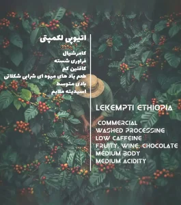 دیتا قهوه عربیکا اتیوپی لکمپتی