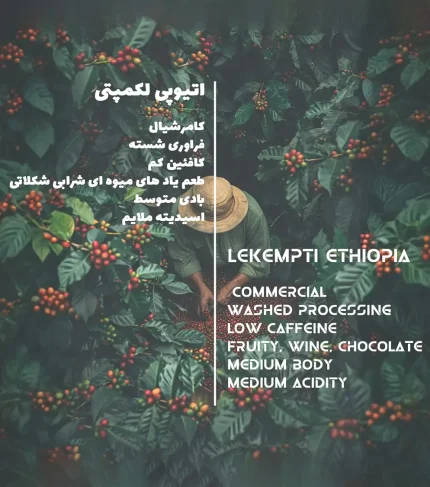 دیتا قهوه عربیکا اتیوپی لکمپتی