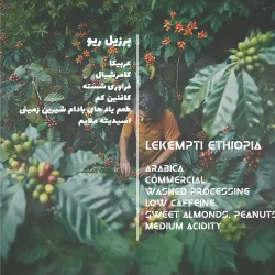 مشخصات قهوه عربیکا برزیل ریو میناس