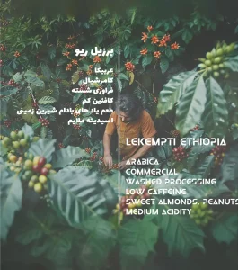 مشخصات قهوه عربیکا برزیل ریو میناس