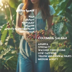 مشخصات قهوه اسپشیالیتی عربیکا کلمبیا سالگار