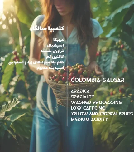 مشخصات قهوه اسپشیالیتی عربیکا کلمبیا سالگار