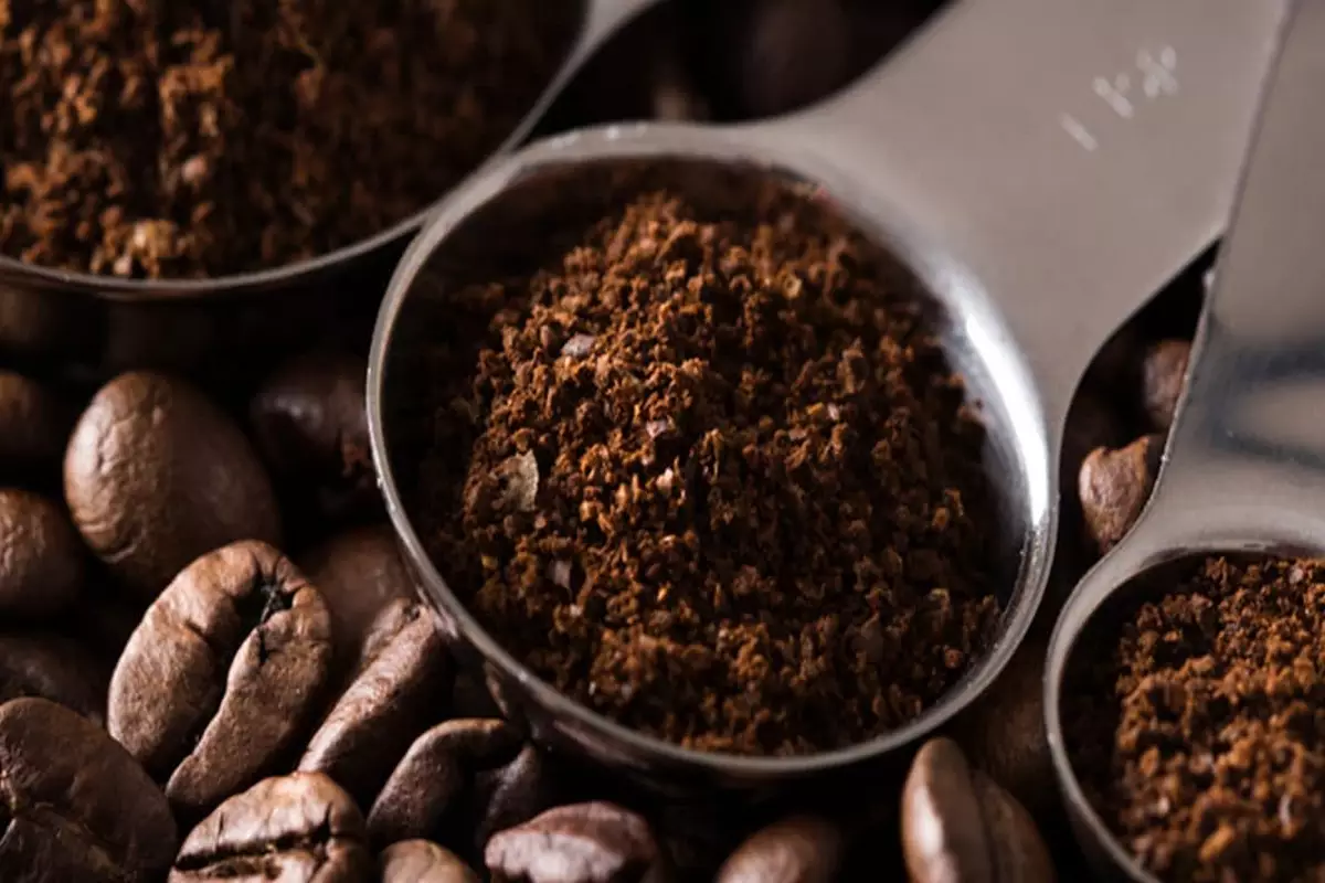 کافئین و بادی قهوه روبوستا هند چری