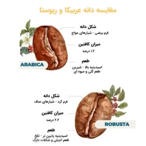 مقایسه‌ای بین دو نژاد اصلی قهوه عربیکاو روبوستا