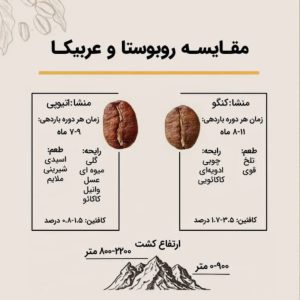  مقایسه نژادهای عربیکا و روبوستا در قهوه