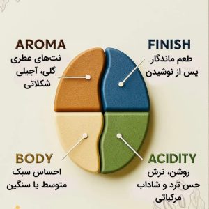 فاکتورهای انتخاب قهوه؛ بررسی طعم، عطر، رُست، اسیدیته و تازگی