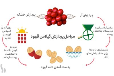 مصرف منابع آبی در تولید قهوه و راهکارهای صرفهجویی