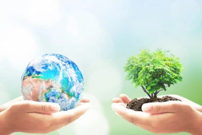 تأثیر انتخابهای مصرفکننده بر آینده زمین
