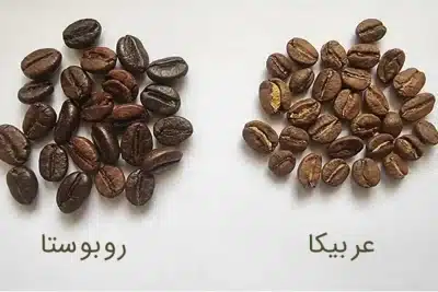 محصولات قهوه تازه و اصل امیرکانو