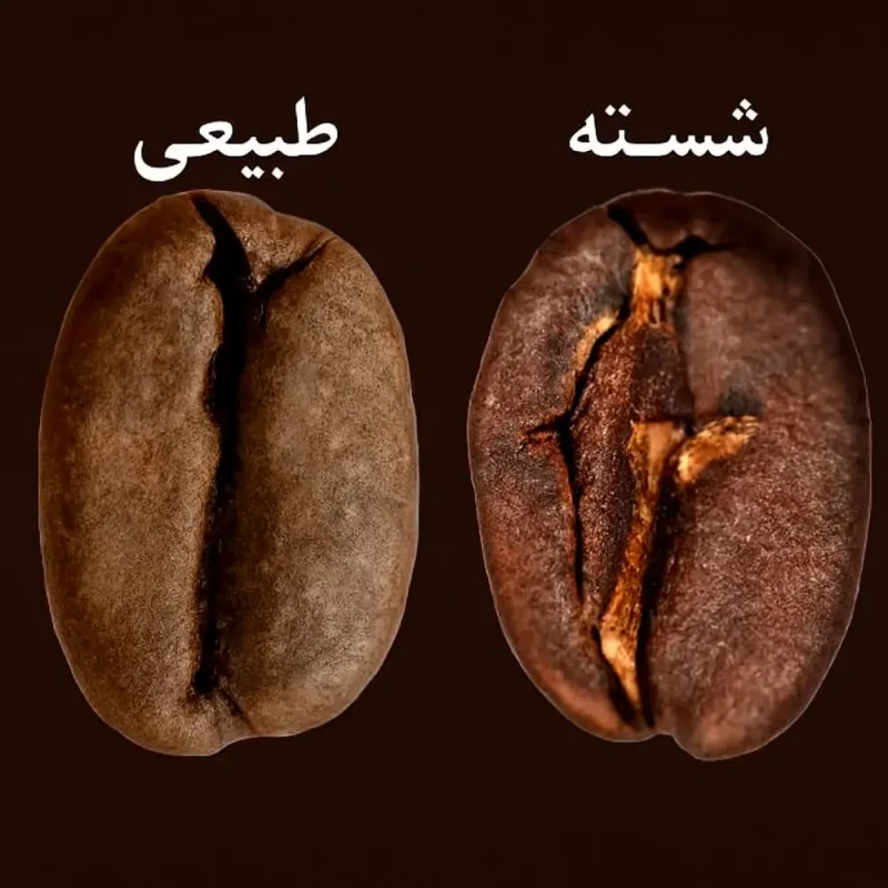 تفاوت روشهای فرآوری قهوه